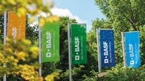 BASF flags at the Ludwigshafen site BASF flags at the Ludwigshafen site