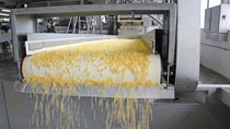 Corn processing factory, food industry; Shutterstock ID 159894719; PO: TPU Corn processing factory, food industry; Shutterstock ID 159894719; PO: TPU