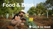Female farmer looks at plants in the field. 