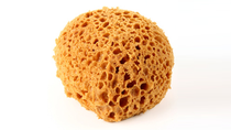 Yellow sponge