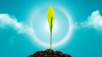 Axalion® Active: Redefining sustainable insect control Axalion® Active: Redefining sustainable insect control