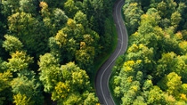 Winding road through the forest - aerial view Winding road through the forest - aerial view