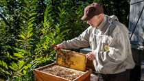 A man shows a beehive.
