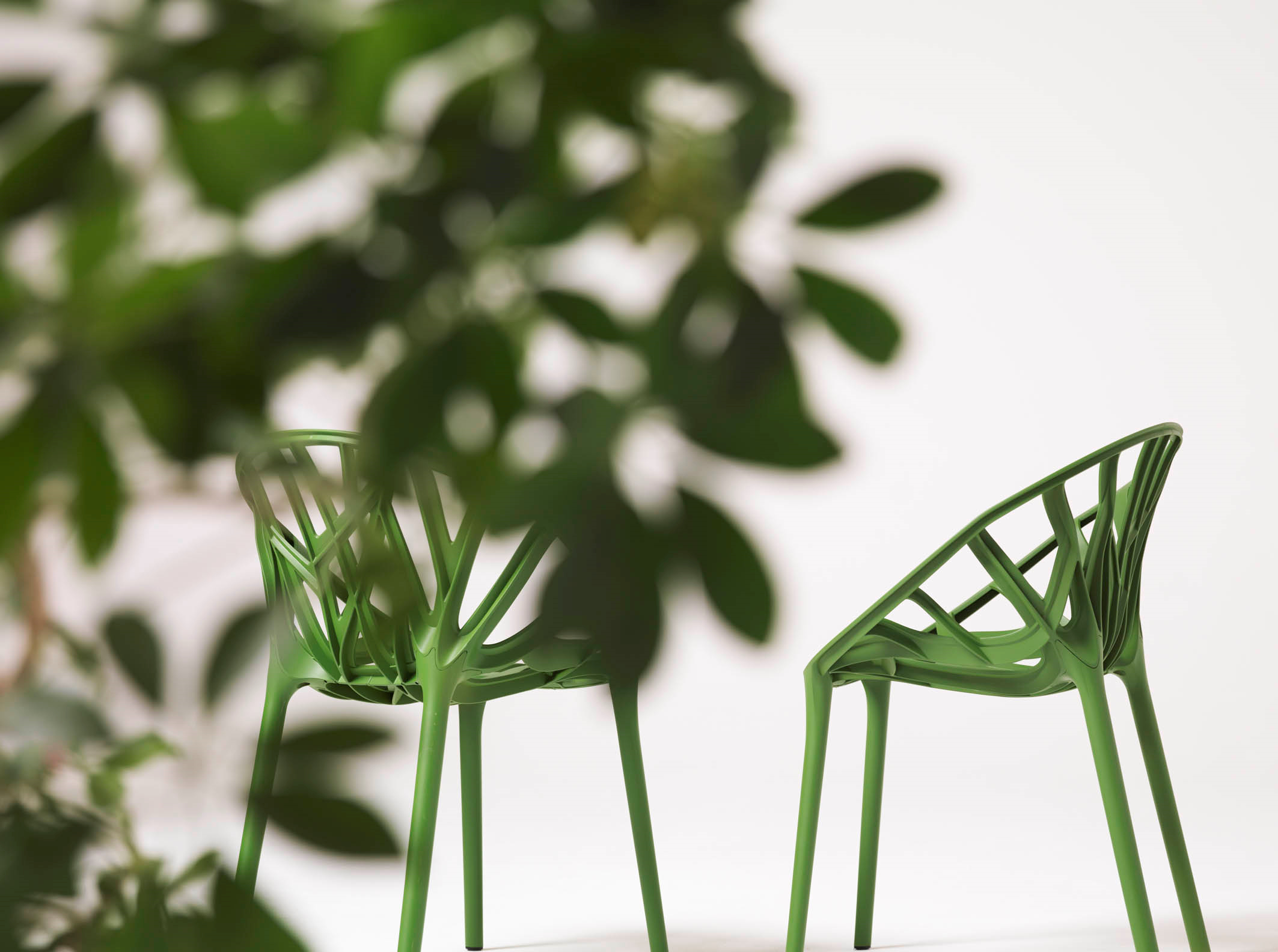 Two green plastic chairs facing each other behind blurred leaves  Two green plastic chairs facing each other behind blurred leaves