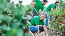 Close up shot of men and women happy planting in at a farm