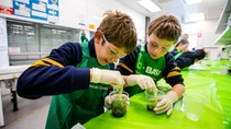 More than a thousand Western Australian kids will take to the science labs at Curtin University for the annual BASF Kids’ Lab program, which began June 27, 2016. More than a thousand Western Australian kids will take to the science labs at Curtin University for the annual BASF Kids’ Lab program, which began June 27, 2016.