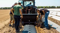 Biodegradable mulch films made of plastic support vegetable production by offering better control of weeds and less need for herbicides. Furthermore, the mulch films offer better growth conditions for the plant and an improved water management. After the production period, the film degrades fast and farmers can plant the next crop. The efficacy of the mulch film used in Ortosole is a result of close cooperation within the Farm Network – and especially by different teams of BASF and the Tiozzo family of Ortosole in Italy. Biodegradable mulch films made of plastic support vegetable production by offering better control of weeds and less need for herbicides. Furthermore, the mulch films offer better growth conditions for the plant and an improved water management. After the production period, the film degrades fast and farmers can plant the next crop. The efficacy of the mulch film used in Ortosole is a result of close cooperation within the Farm Network – and especially by different teams of BASF and the Tiozzo family of Ortosole in Italy.