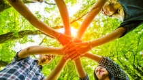 Group of friends with hands in hands with sunlight - Teamwork