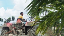 Man on tractor working in West Bengal