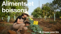 Une agricultrice, portant une salopette et un chapeau, tient une tablette et examine des plants dans un champ par une journée ensoleillée. Le texte sur l’image indique : « Nourriture et boissons ».