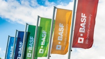 Six BASF flags at the Ludwigshafen site. Six BASF flags at the Ludwigshafen site.