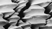 A close up of the riblets in a shark's skin. Sharks swim amazingly efficiently thanks to tiny ‘ribs’ on the surface of their skin. A close up of the riblets in a shark's skin. Sharks swim amazingly efficiently thanks to tiny ‘ribs’ on the surface of their skin.