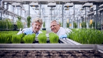 Worldwide, BASF researchers work on new agricultural solutions that enable balance between agricultural productivity, environmental protection and society’s needs.