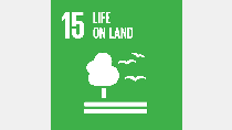 SDG 15: Life on land SDG 15: Life on land