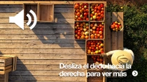Un granjero con sombrero está de pie al aire libre en una plataforma de madera junto a varias cajas llenas de varios tipos de tomates.  Un granjero con sombrero está de pie al aire libre en una plataforma de madera junto a varias cajas llenas de varios tipos de tomates.