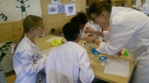 Kids Lab Kids Lab
