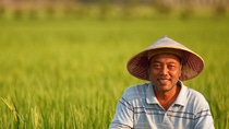 Man sitting in a green long grass field wearing a hat  Man sitting in a green long grass field wearing a hat