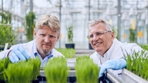 Limburgerhof 13.08.2019

Reportage-Revysol bei der BASF Agricultural Center im Rheinland-pfälzischen Limburgerhof. 

Gewächshaus Fungizidgewächshaus/ Fungizide greenhouse. Mit Jan Klaas Lohmann (l.) und Marin Dust (r)

©Jonas Ratermann

[No Model Release | No Property Release]