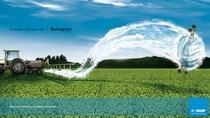 Basagran had an additional advantage – when used in
combination with other herbicides, it played an important role in no-till farming systems developed
to prevent soil erosion in the midwestern U.S. and in Brazil.