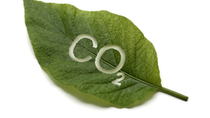 Green leaf with co2 cut out 