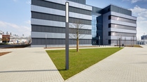 BASF Münster C 424