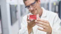 A laboratory employee inspects a painted metal sheet A laboratory employee inspects a painted metal sheet