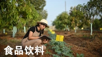 一名女性农户手持平板电脑，正在田地中检查植物。图像上的文字为“食品饮料”。 