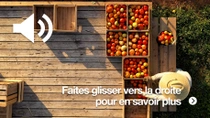 Un agriculteur portant un chapeau se tient à l’extérieur sur une terrasse en bois à côté de plusieurs caisses remplies de différents types de tomates.&nbsp;