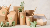 Eco-friendly food packaging   Eco-friendly food packaging