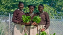 © WFP Andy Higgins © WFP Andy Higgins