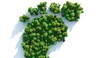 Ecology concept: Highly detailed footprint symbol shaped forest viewed from above. Computer generated, and lit with global radiosity. Subtle grain texture added. Ecology concept: Highly detailed footprint symbol shaped forest viewed from above. Computer generated, and lit with global radiosity. Subtle grain texture added.