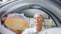 Chemielaborantin Anni Knab gibt das Flüssigwaschmittel in die Waschtrommel. Die Versuche werden mit
Testformulierungen und handelsüblichen Waschmitteln durchgeführt.
Chemical laboratory technician Anni Knab puts the liquid detergent into the washing drum. The experiments are
carried out with test formulations and commercially available detergents. Chemielaborantin Anni Knab gibt das Flüssigwaschmittel in die Waschtrommel. Die Versuche werden mit
Testformulierungen und handelsüblichen Waschmitteln durchgeführt.
Chemical laboratory technician Anni Knab puts the liquid detergent into the washing drum. The experiments are
carried out with test formulations and commercially available detergents.