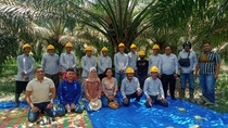 Through Project Lampung, a collaborative sustainability initiative, Solidaridad, BASF, The Estée Lauder Companies (ELC), and The Roundtable on Sustainable Palm Oil (RSPO) have made real progress strengthening the sustainable palm oil supply chain and supporting smallholder farmers.  Photo: BASF SE