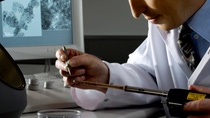 Dr. Gerhard Cox, TEM-Laborleiter in der Zentralanalytik, untersucht die Probe eines Katalysators am Transmissionselektronenmikroskop (TEM). Anhand der extremen Vergrößerung hat der Forscher einen Einblick in die Struktur und Wirkungsweise von Katalysatoren. Abdruck honorarfrei. Copyright by BASF.
Dr. Gerhard Cox, head of the TEM-laboratory in the polymer physics department prepares the sample of a catalyst for examination under a Transmission-Electron-Microscope (TEM). The extreme magnification gives the researcher an insight into the structure and effectiveness of the catalysts. Print free of charge. Copyright by BASF.,Dr. Gerhard Cox, TEM-Laborleiter in der Zentralanalytik, untersucht die Probe eines Katalysators am Transmissionselektronenmikroskop (TEM). Anhand der extremen Vergrößerung hat der Forscher einen Einblick in die Struktur und Wirkungsweise von Katalysatoren. Abdruck honorarfrei. Copyright by BASF.
Dr. Gerhard Cox, head of the TEM-laboratory in the polymer physics department prepares the sample of a catalyst for examination under a Transmission-Electron-Microscope (TEM). The extreme magnification gives the researcher an insight into the structure and effectiveness of the catalysts. Print free of charge. Copyright by BASF. Dr. Gerhard Cox, TEM-Laborleiter in der Zentralanalytik, untersucht die Probe eines Katalysators am Transmissionselektronenmikroskop (TEM). Anhand der extremen Vergrößerung hat der Forscher einen Einblick in die Struktur und Wirkungsweise von Katalysatoren. Abdruck honorarfrei. Copyright by BASF.
Dr. Gerhard Cox, head of the TEM-laboratory in the polymer physics department prepares the sample of a catalyst for examination under a Transmission-Electron-Microscope (TEM). The extreme magnification gives the researcher an insight into the structure and effectiveness of the catalysts. Print free of charge. Copyright by BASF.,Dr. Gerhard Cox, TEM-Laborleiter in der Zentralanalytik, untersucht die Probe eines Katalysators am Transmissionselektronenmikroskop (TEM). Anhand der extremen Vergrößerung hat der Forscher einen Einblick in die Struktur und Wirkungsweise von Katalysatoren. Abdruck honorarfrei. Copyright by BASF.
Dr. Gerhard Cox, head of the TEM-laboratory in the polymer physics department prepares the sample of a catalyst for examination under a Transmission-Electron-Microscope (TEM). The extreme magnification gives the researcher an insight into the structure and effectiveness of the catalysts. Print free of charge. Copyright by BASF.