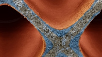 Der Dreiwegekatalysator von BASF wandelt mehr als 99% der schädlichen Abgase aus Benzinmotoren in CO2, Stickstoff und Wasser um. Möglich wird dies durch Edelmetallpartikel, die schichtweise auf ein wabenartiges Keramik-Substrat aufgebracht werden. Damit erfüllt der Katalysator strenge Abgasnormen wie Euro 6. Vergrößerung 120:1 (bei 15 cm Bildbreite) Der Dreiwegekatalysator von BASF wandelt mehr als 99% der schädlichen Abgase aus Benzinmotoren in CO2, Stickstoff und Wasser um. Möglich wird dies durch Edelmetallpartikel, die schichtweise auf ein wabenartiges Keramik-Substrat aufgebracht werden. Damit erfüllt der Katalysator strenge Abgasnormen wie Euro 6. Vergrößerung 120:1 (bei 15 cm Bildbreite)