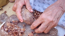 Female hands crushing nut shells with a stone 