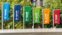 BASF-Fahnen am Standort Ludwigshafen