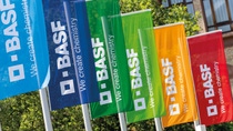 BASF flags at the Ludwigshafen site
