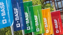BASF flags at the Ludwigshafen site BASF flags at the Ludwigshafen site