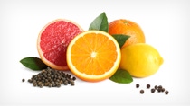 Citrus fruits and pepper corns, © Schaller & Partner/BASF Citrus fruits and pepper corns, © Schaller & Partner/BASF