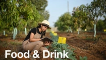 Female farmer looks at plants in the field. 