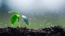 Sokalan® CP 301: Readily biodegradable dispersant with excellent performance (© Shutterstock) Sokalan® CP 301: Readily biodegradable dispersant with excellent performance (© Shutterstock)