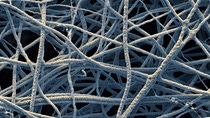 Kleidung mit UV-Schutz, Bestandteil von Gas-Sensoren oder im Gehäuse von Laptops – die Anwendungsmöglichkeiten für diese winzigen Fäden sind vielfältig: Im Moment sind die anorganischen Nanofasern aber noch Gegenstand der Forschung in Ludwigshafen. Das Besondere an ihnen: Sie sind mit weniger als 300 Nanometer Durchmesser 1000-mal feiner als ein Menschenhaar. Unter einem normalen Lichtmikroskop sind sie damit nicht mehr sichtbar.
Vergrößerung  7 000 : 1 (bei 12cm Bildbreite)