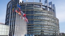 View of the European parliament with many country flags  View of the European parliament with many country flags