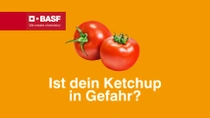 Zwei Tomaten auf orangenem Hintergrund. Der Text lautet: "Ist dein Ketchup in Gefahr?"