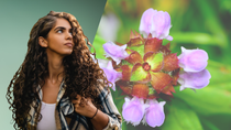 BASF’s Personal Care business launches Ameriflor Calm BASF’s Personal Care business launches Ameriflor Calm