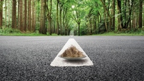 A road through a lush green forest with a white line that appears three-dimensional. In the middle of the street, there are brown fiber bonds on a glass pane.