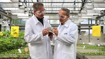 Adapzo® Active, a new fungicide active ingredient, is anticipated to be available for farmers growing soybeans in Brazil, Paraguay and starting in 2029. With its novel mode of action, Adapzo Active is a tailored solution to control Asian Soybean Rust. Adapzo® Active, a new fungicide active ingredient, is anticipated to be available for farmers growing soybeans in Brazil, Paraguay and starting in 2029. With its novel mode of action, Adapzo Active is a tailored solution to control Asian Soybean Rust.