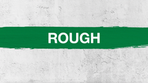 Rough Rough