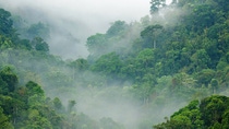Scenic view of densely green mountains surrounded by fog